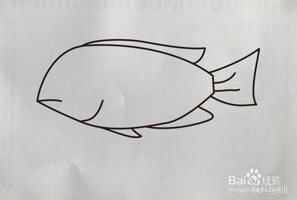 【简笔画】利鱼的画法