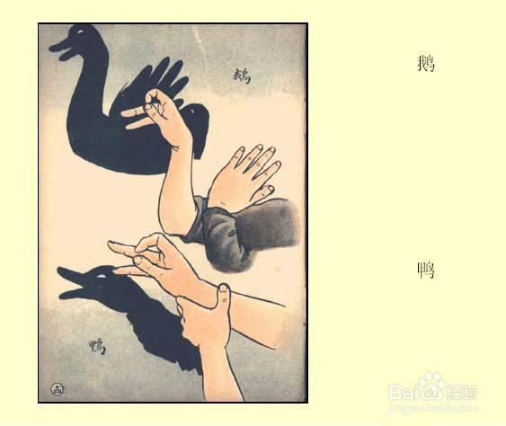 睡前跟孩子一起玩手影游戏吧