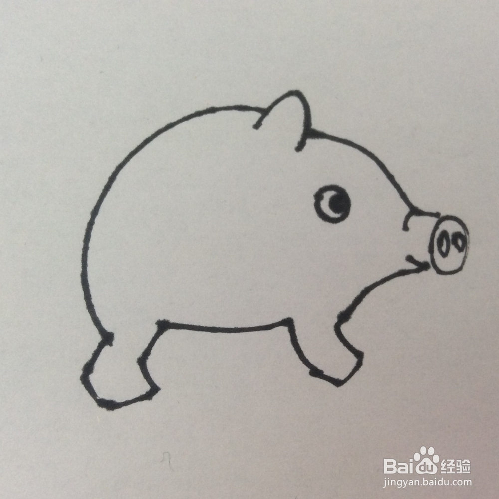 怎么画猪的儿童画？猪的儿童画怎么画呢？