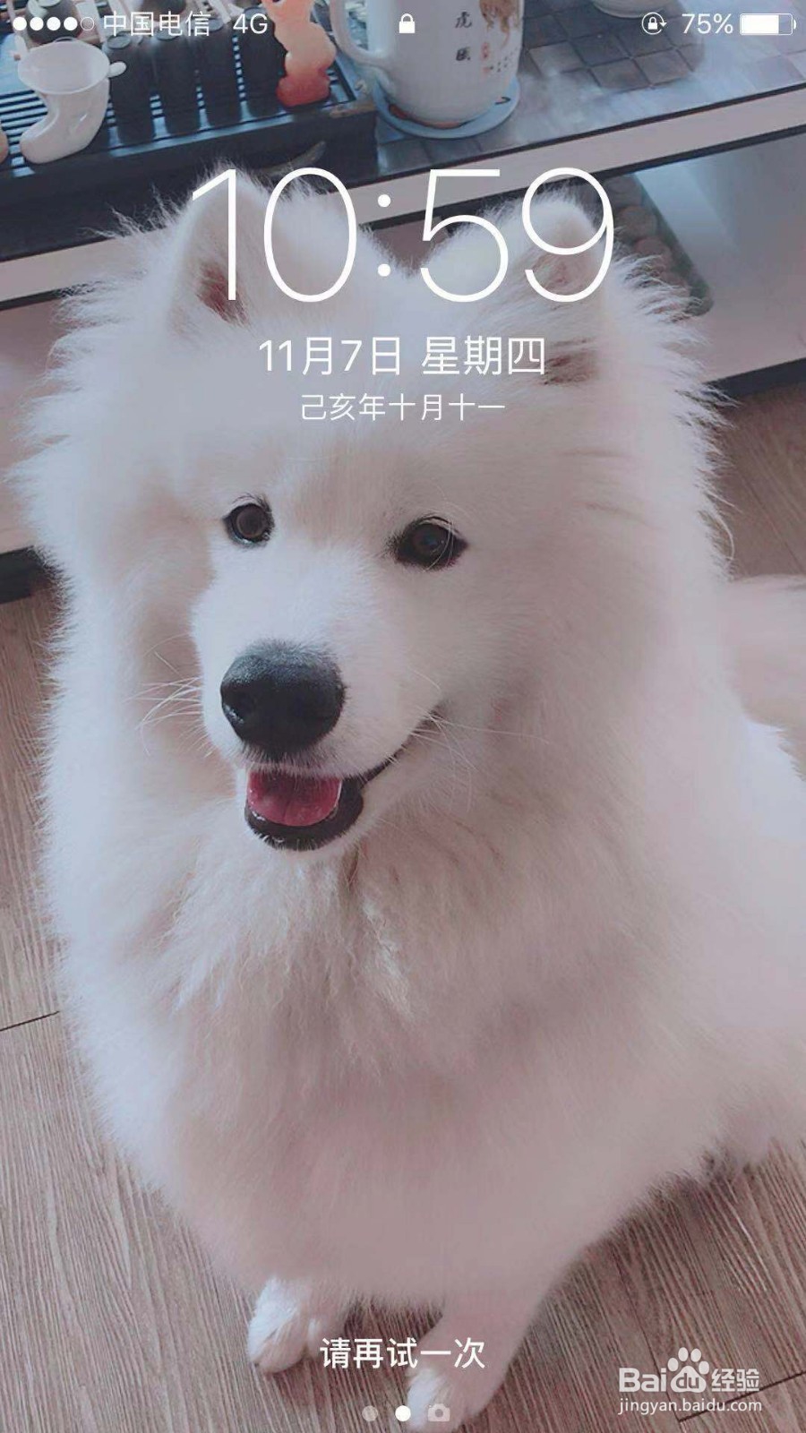 如何从淘宝购买宝贝？