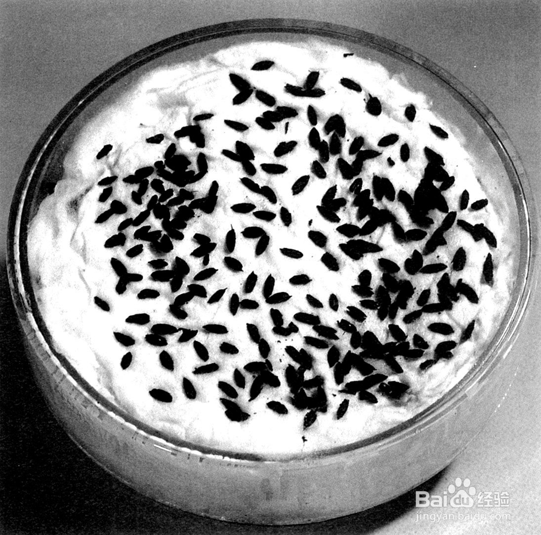 河姆渡人和半坡居民的不同