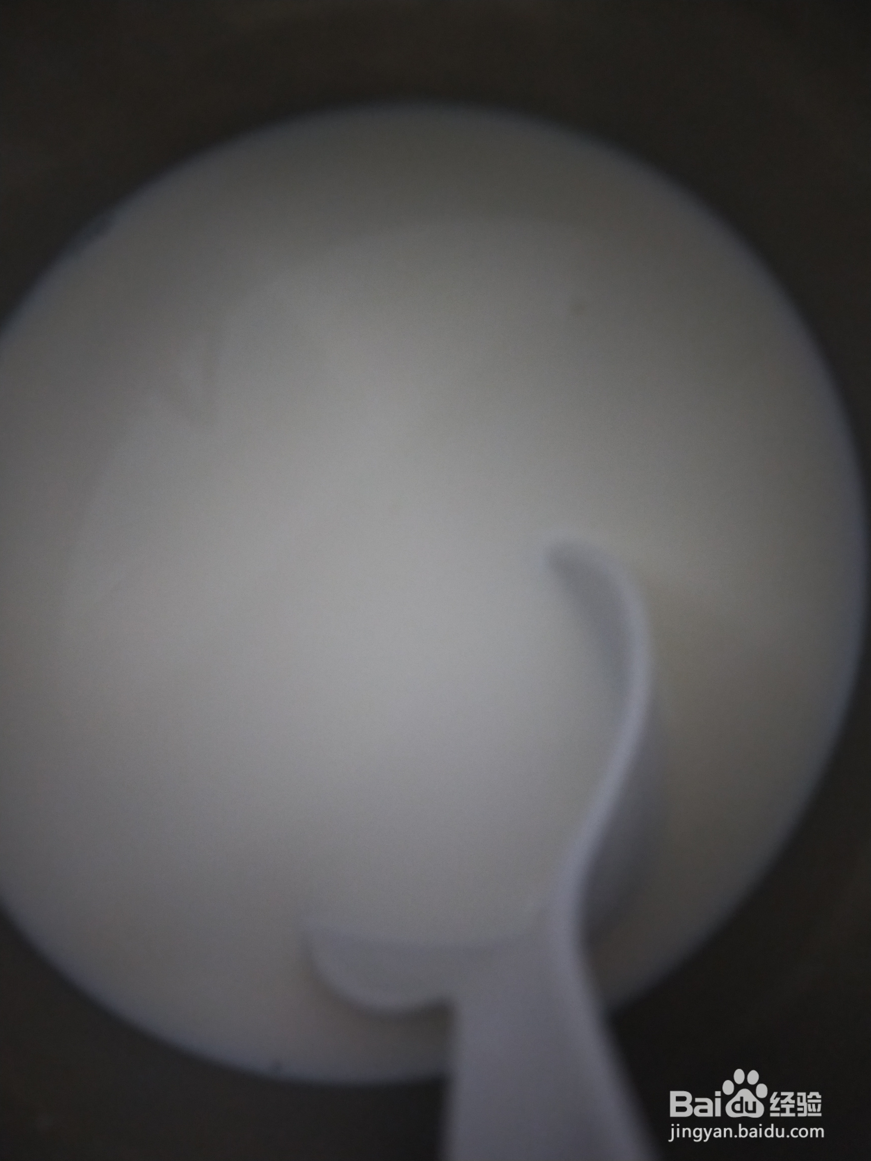 如何在家自己制作奶酪