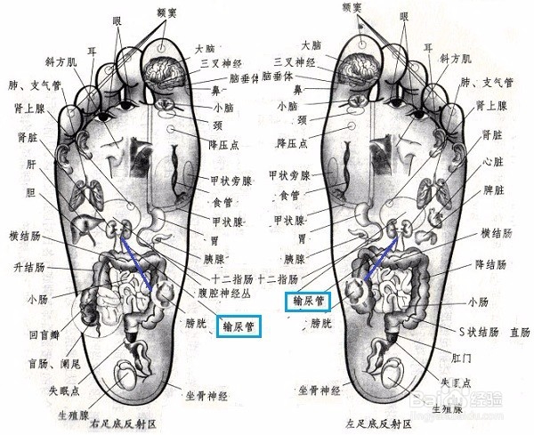 因为流感，呼吸道感染怎么办？