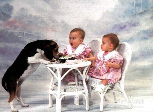 成功的36式：[2]之2后编式