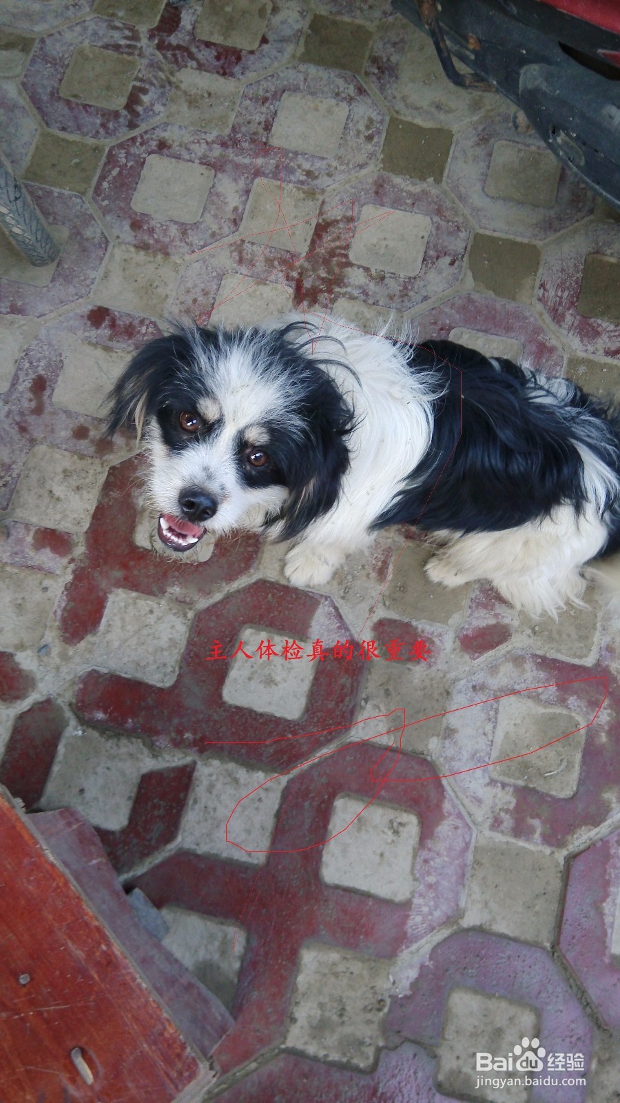 如何做好体检中心的宣传