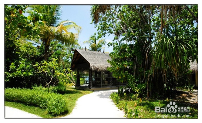 带你游马尔代夫之阿雅达岛,静观印度洋迷人景致