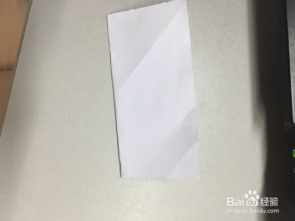 小萌物－－兔兔