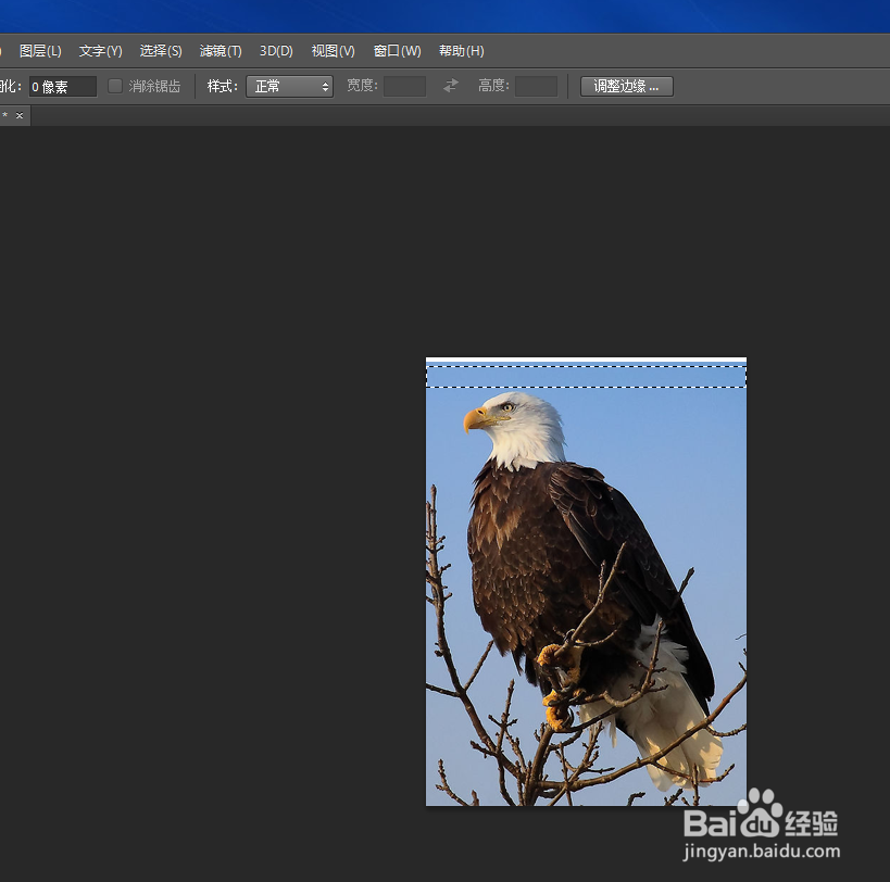photoshop cs6制作打印1寸照片的最好最快方法