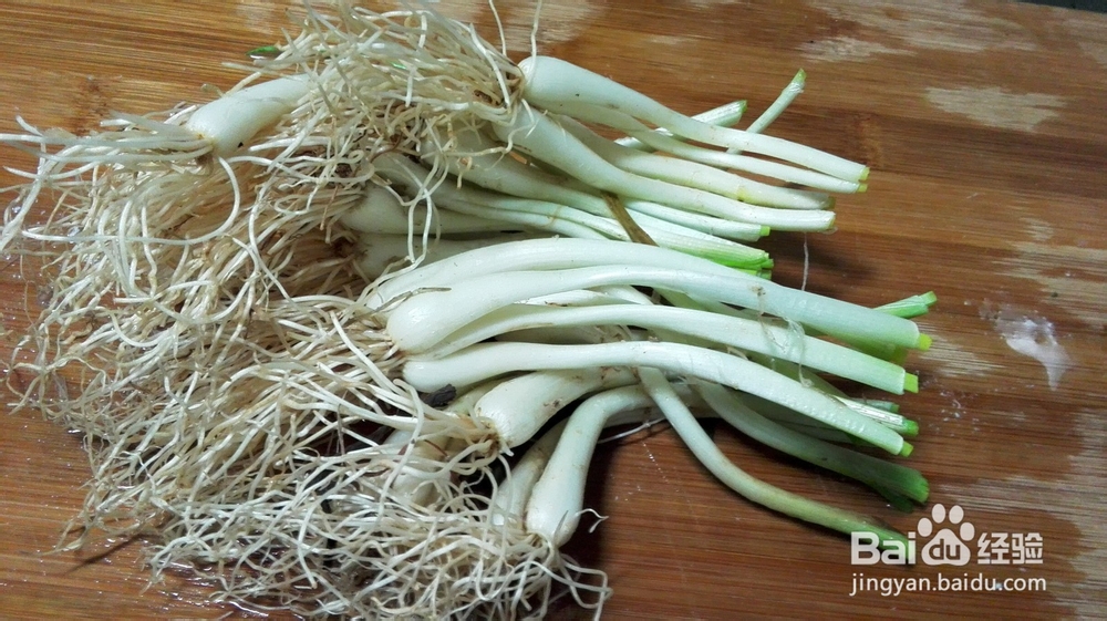 家常菜&荞头干椒炒腊肉