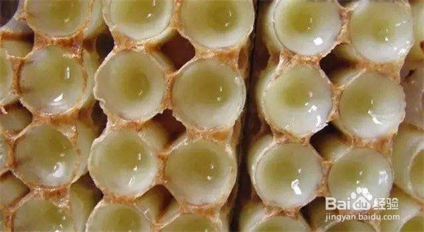 蜂王浆祛雀斑：蜂王浆治疗雀斑吗？
