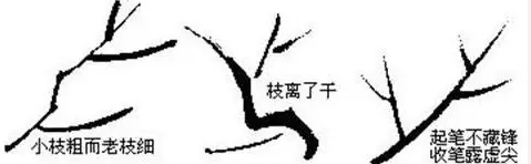 国画梅花的画法攻略