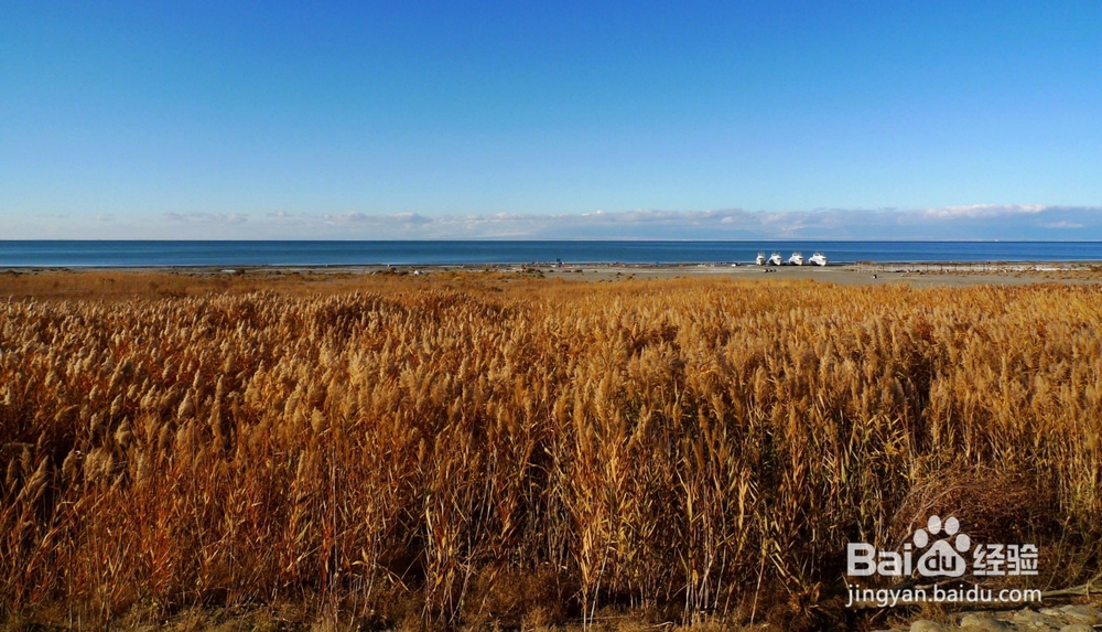 逃离人海!十月这些小众景点人少景美!