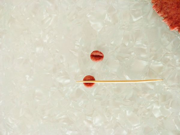 拳击小鸡南瓜馒头