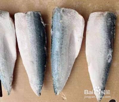 鲭鱼的营养价值 功效 做法 百度经验
