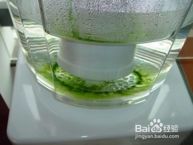 饮水桶里青苔怎么清洗