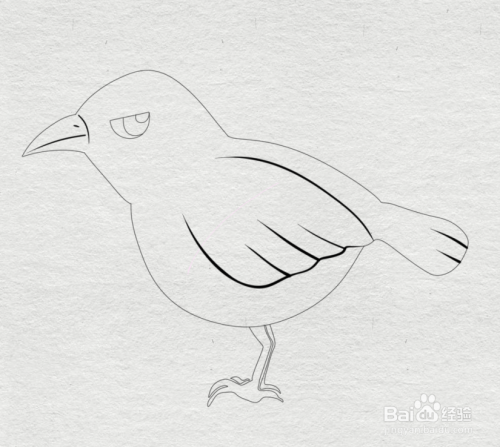 简笔画--如何画乌鸦的简笔画
