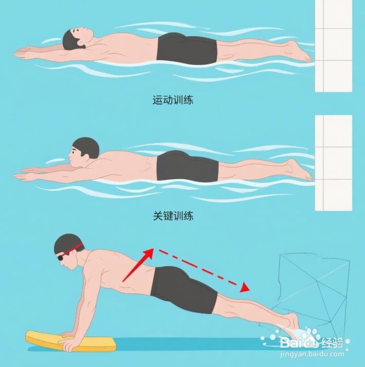 如何快速学会蛙泳，亲测