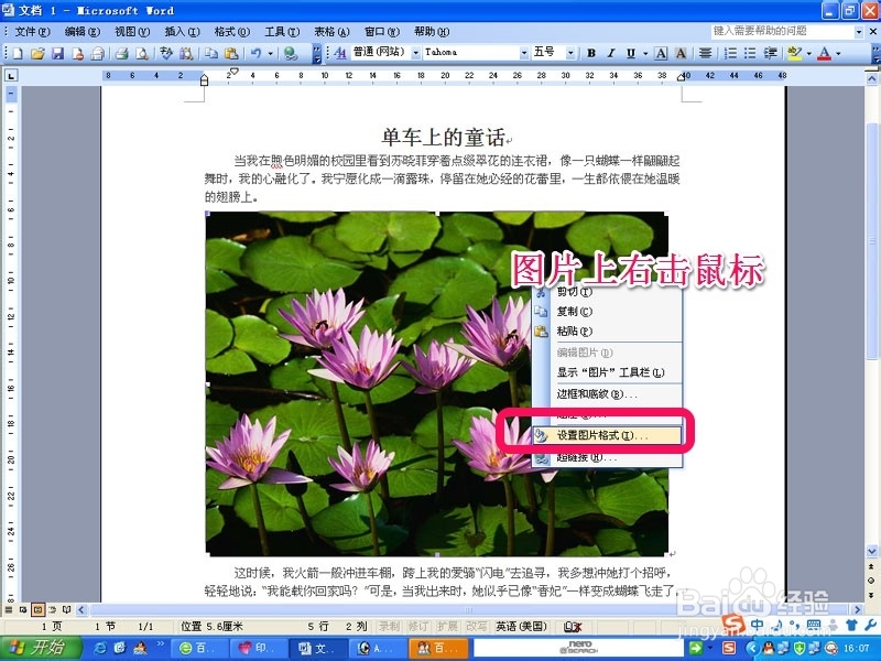 word操作教程：[1]插入图片的设置