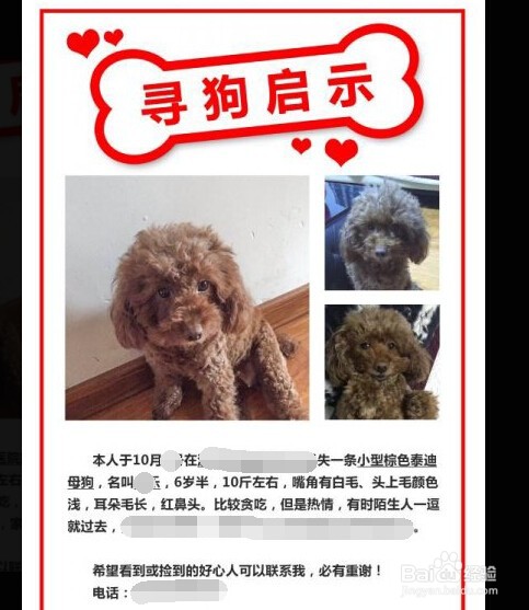 狗不见了怎么办