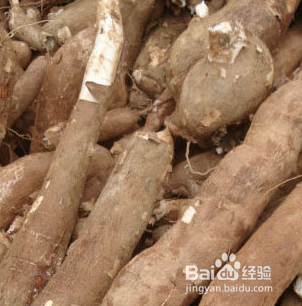 日常食用的四种天生有毒蔬菜