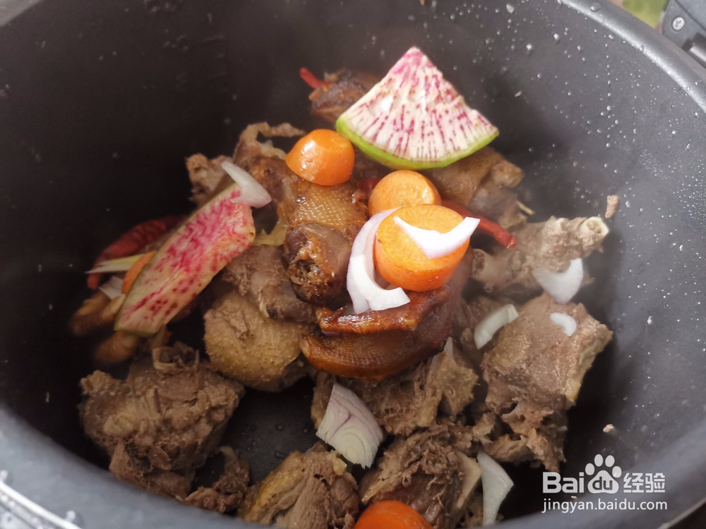高压锅炖鹅肉