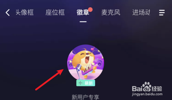偷星猫如何装扮徽章