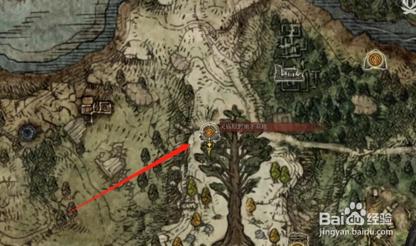 艾尔登法环,“无头骑士”露缇尔怎么获取?