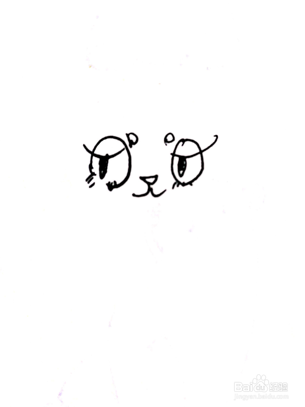 打瞌睡的猫线描画怎么画