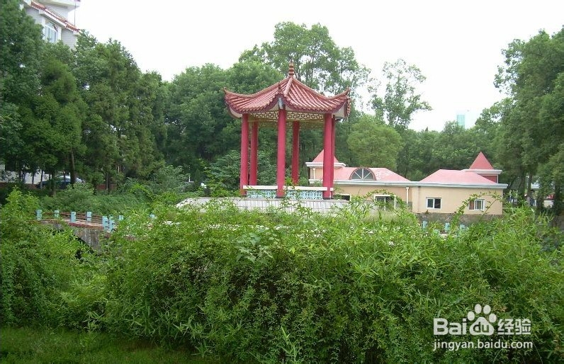 江西电力校园最佳约会地点