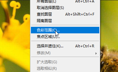 Photoshop如何从花中P掉蜜蜂