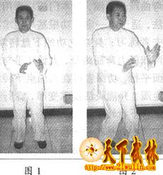 九宫八卦拳青龙探爪式