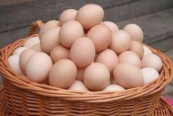不同蛋类的作用有什么？