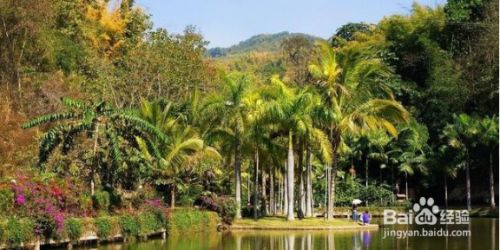 假日一游西双版纳体会异国赌城小勐拉