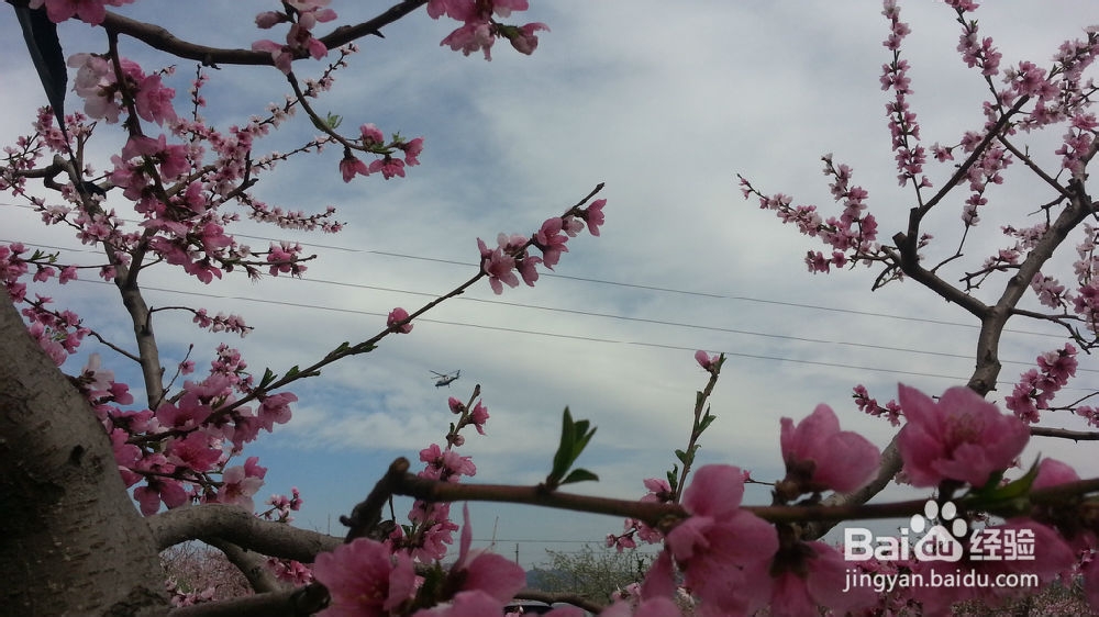 今天天气这么好，应该去哪里玩呢