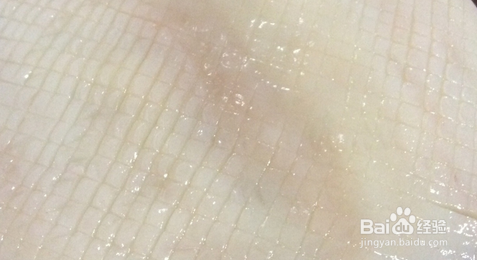 盛夏肥美时节——芫爆鱿鱼卷