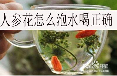 人参花怎么泡水喝正确 百度经验