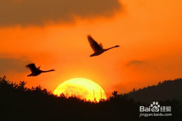 怎样管理自己的时间