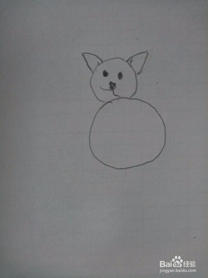 猫咪的简笔画
