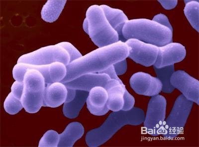 支原体感染有哪些危害