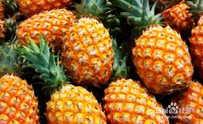 哪些食物可以养胃