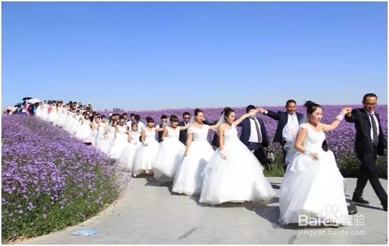 十一金昌旅游5大旅游攻略