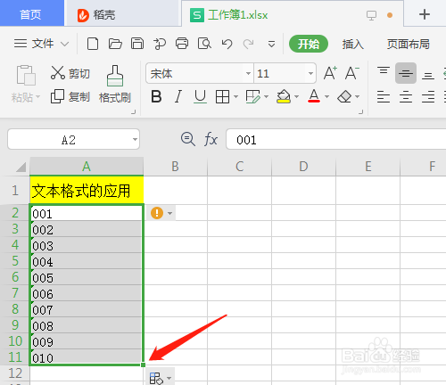 WPS2019 第十二课 电子表格的文本格式怎样应用