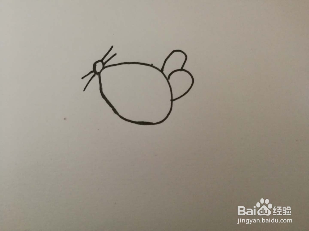 简笔画调皮的小老鼠