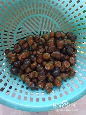 怎么做爆炒螺丝