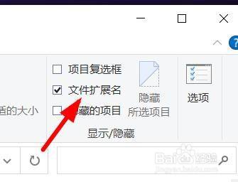 Win11如何更改扩展名