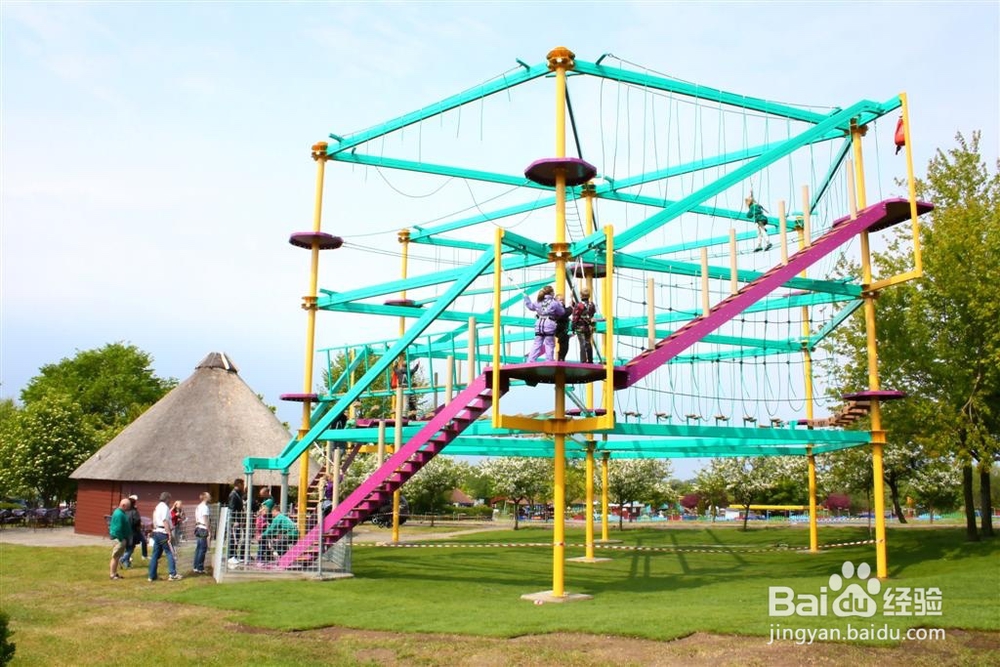 历奇探险 空中步道探险