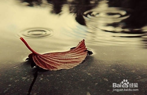 求职找工作方向分析之步步为营