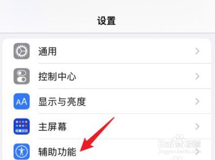 iPhone 11 Pro Max怎么开启降低白点值