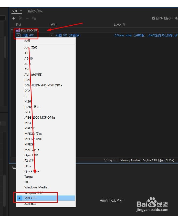 AE如何导出GIF？