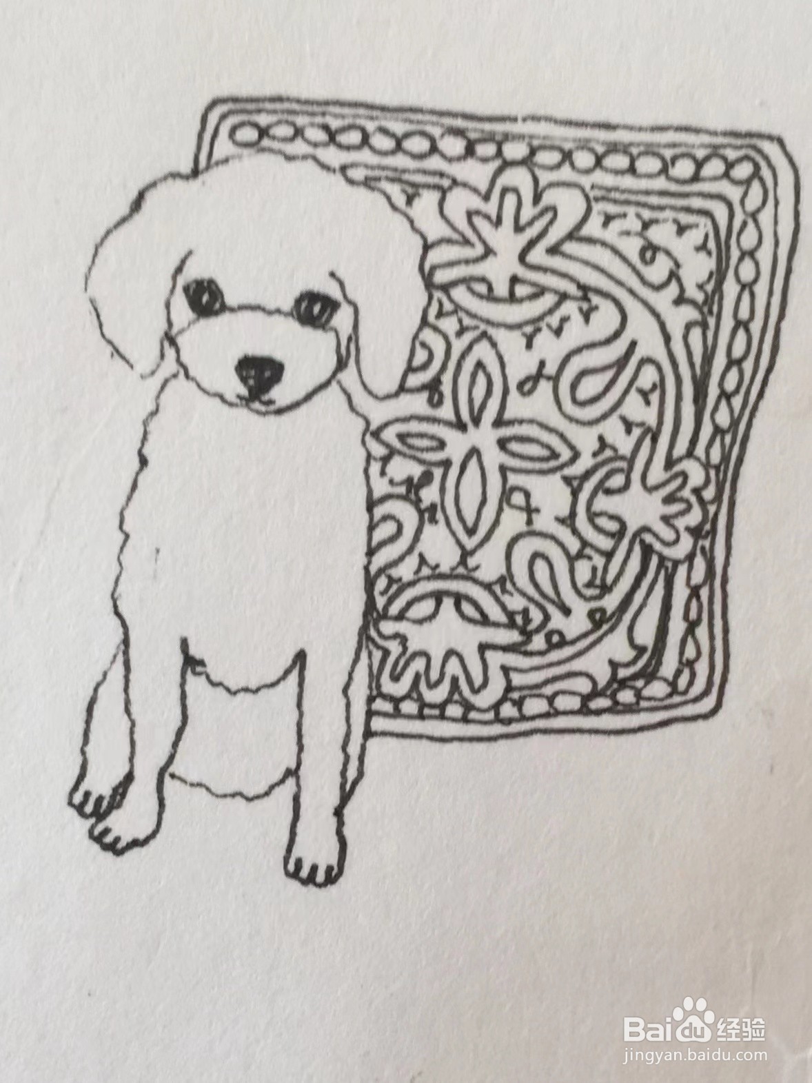 彩铅画教程之沙发上的泰迪犬